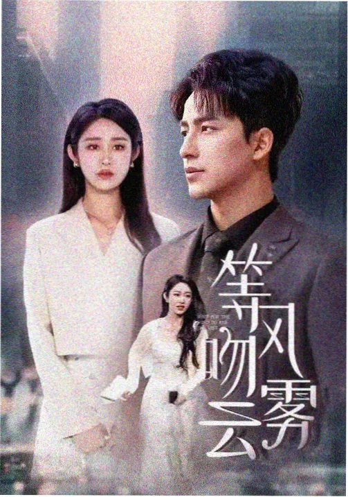 韩剧无声法庭海报